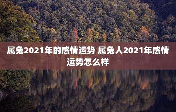 属兔2021年的感情运势 属兔人2021年感情运势怎么样