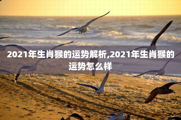 2021年生肖猴的运势解析,2021年生肖猴的运势怎么样