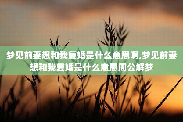 梦见前妻想和我复婚是什么意思啊,梦见前妻想和我复婚是什么意思周公解梦