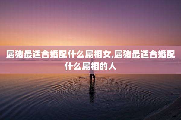 属猪最适合婚配什么属相女,属猪最适合婚配什么属相的人