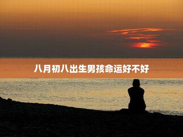 八月初八出生男孩命运好不好