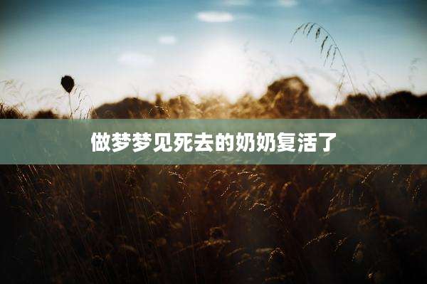 做梦梦见死去的奶奶复活了