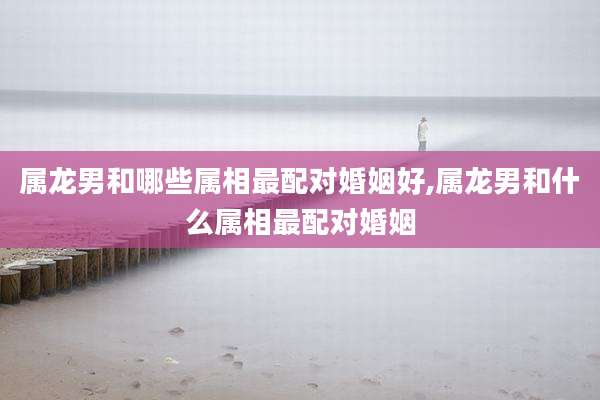属龙男和哪些属相最配对婚姻好,属龙男和什么属相最配对婚姻