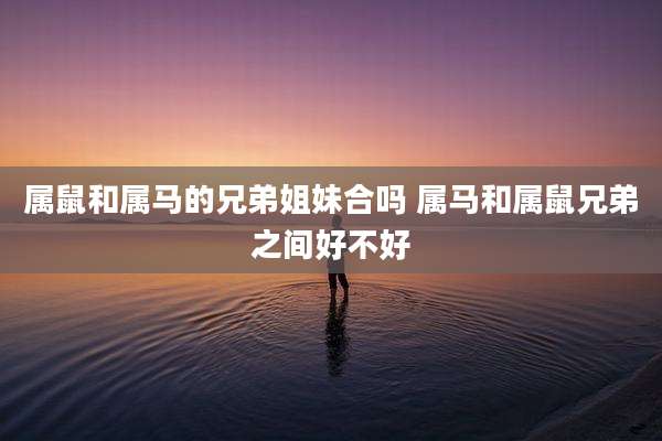 属鼠和属马的兄弟姐妹合吗 属马和属鼠兄弟之间好不好