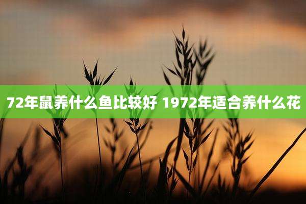 72年鼠养什么鱼比较好 1972年适合养什么花