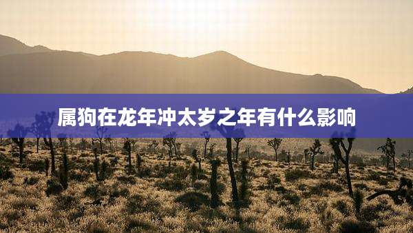 属狗在龙年冲太岁之年有什么影响