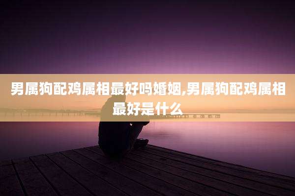 男属狗配鸡属相最好吗婚姻,男属狗配鸡属相最好是什么