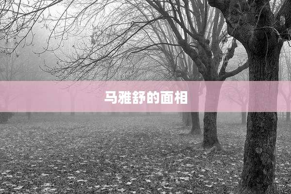 马雅舒的面相