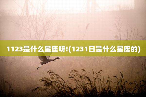 1123是什么星座呀!(1231日是什么星座的)