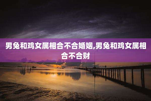 男兔和鸡女属相合不合婚姻,男兔和鸡女属相合不合财