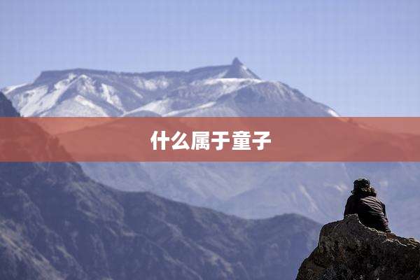 什么属于童子