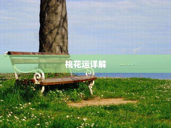 桃花运详解