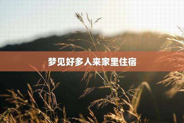 梦见好多人来家里住宿