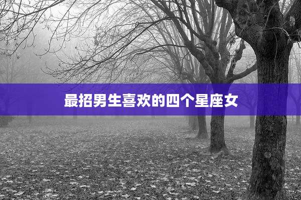 最招男生喜欢的四个星座女