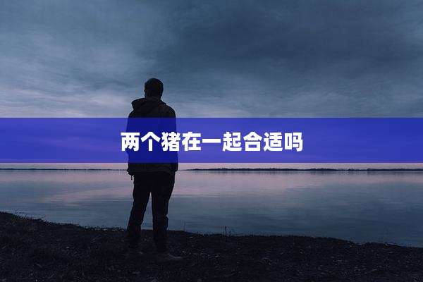 两个猪在一起合适吗