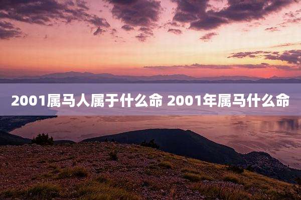 2001属马人属于什么命 2001年属马什么命