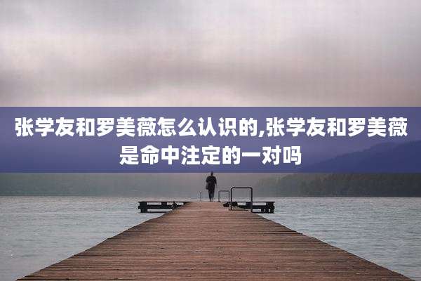 张学友和罗美薇怎么认识的,张学友和罗美薇是命中注定的一对吗
