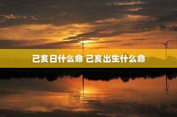 己亥日什么命 己亥出生什么命