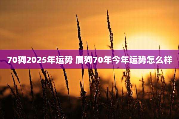 70狗2025年运势 属狗70年今年运势怎么样