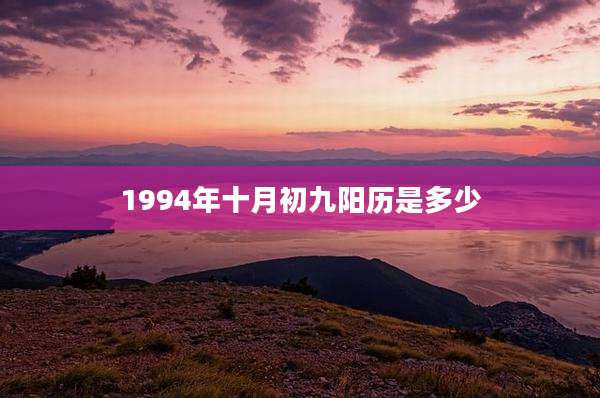 1994年十月初九阳历是多少
