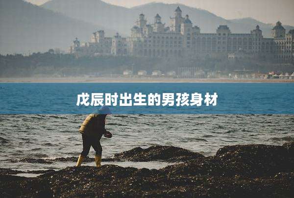 戊辰时出生的男孩身材