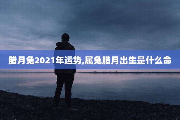 腊月兔2021年运势,属兔腊月出生是什么命