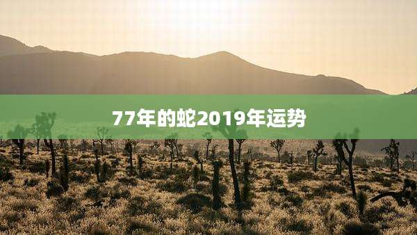 77年的蛇2019年运势