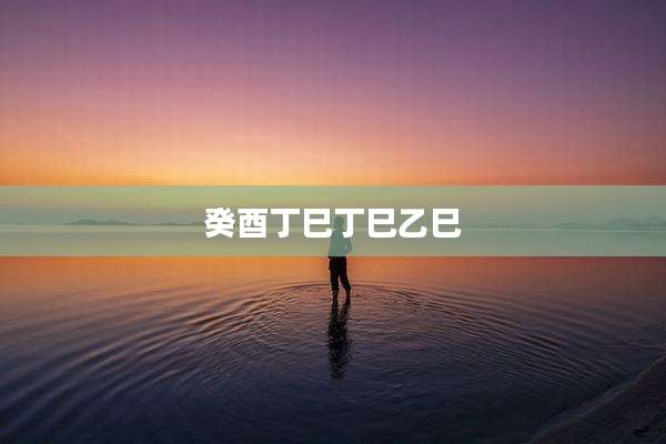 癸酉丁巳丁巳乙巳
