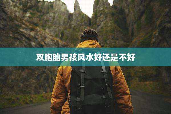 双胞胎男孩风水好还是不好