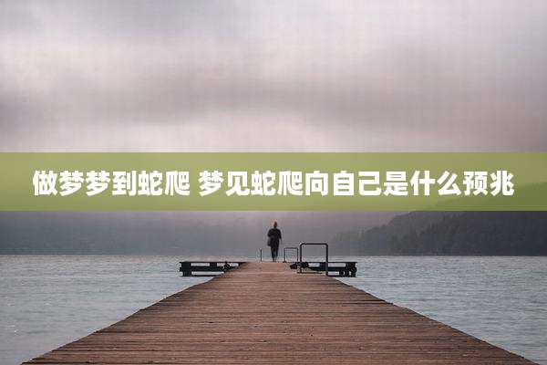 做梦梦到蛇爬 梦见蛇爬向自己是什么预兆