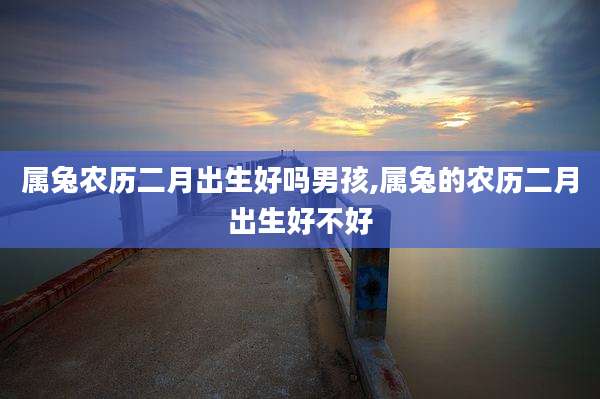 属兔农历二月出生好吗男孩,属兔的农历二月出生好不好