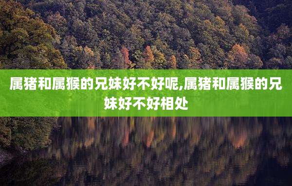 属猪和属猴的兄妹好不好呢,属猪和属猴的兄妹好不好相处