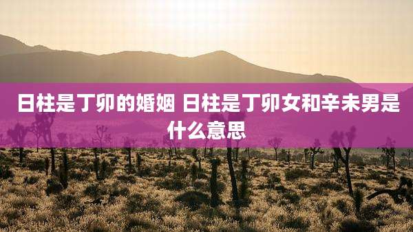 日柱是丁卯的婚姻 日柱是丁卯女和辛未男是什么意思