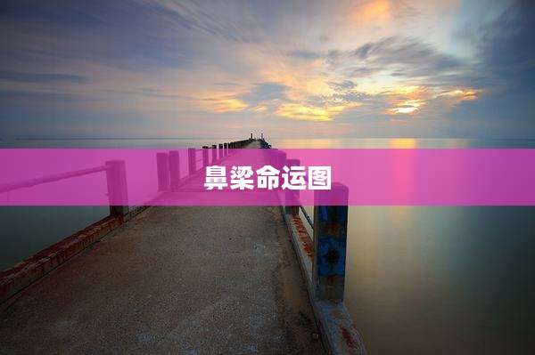 鼻梁命运图