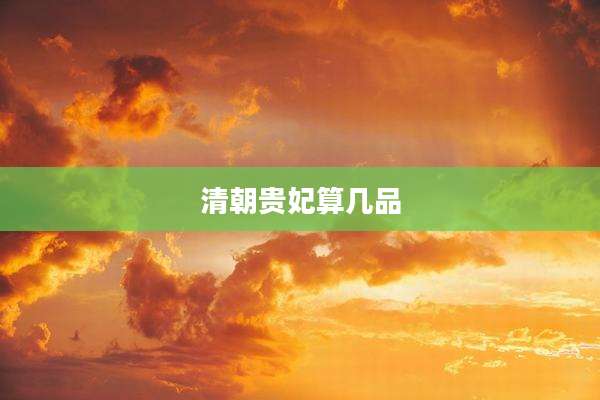 清朝贵妃算几品