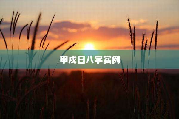 甲戌日八字实例
