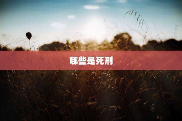 哪些是死刑