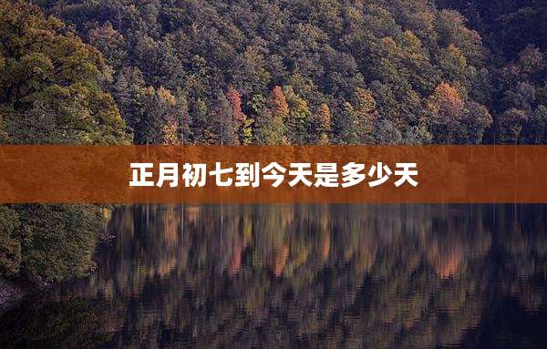 正月初七到今天是多少天