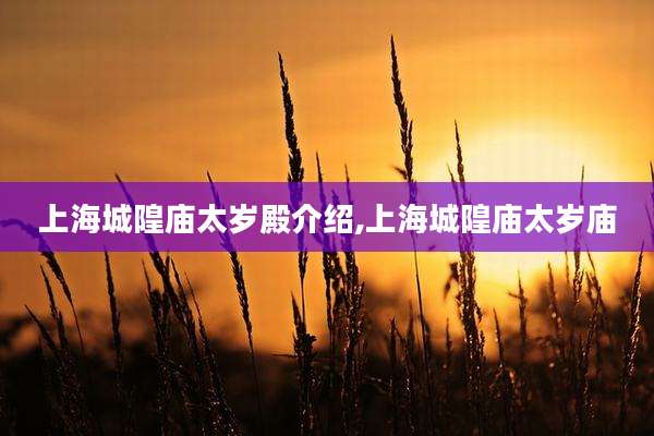 上海城隍庙太岁殿介绍,上海城隍庙太岁庙