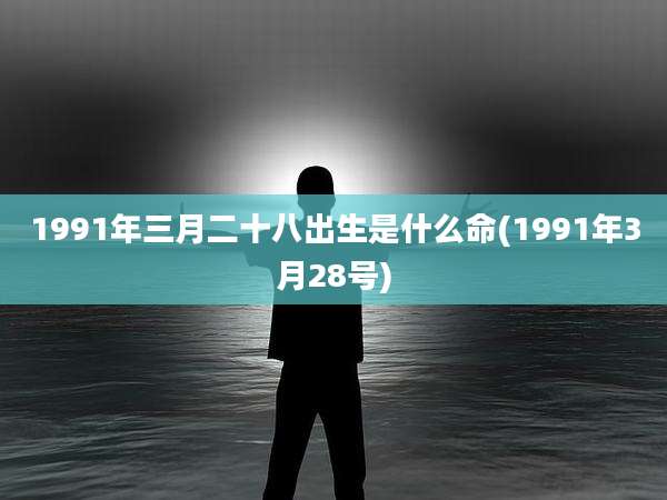 1991年三月二十八出生是什么命(1991年3月28号)