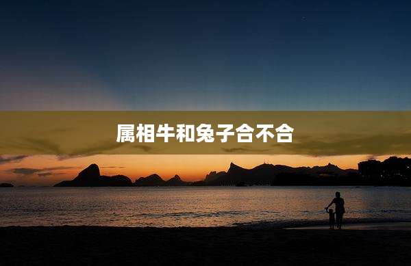 属相牛和兔子合不合