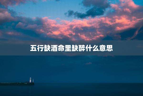 五行缺酒命里缺醉什么意思