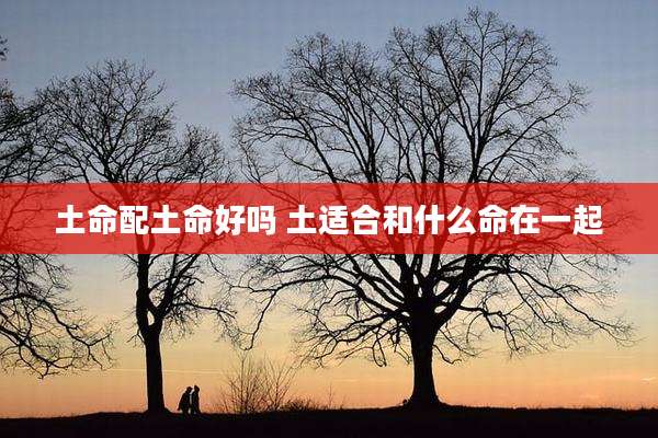 土命配土命好吗 土适合和什么命在一起
