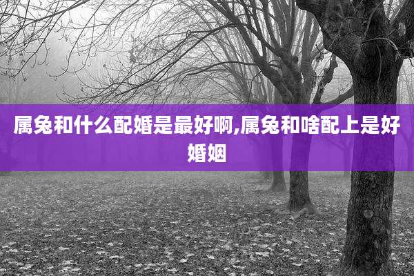 属兔和什么配婚是最好啊,属兔和啥配上是好婚姻
