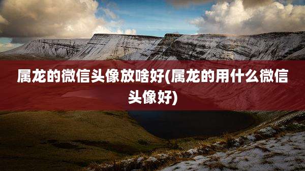 属龙的微信头像放啥好(属龙的用什么微信头像好)