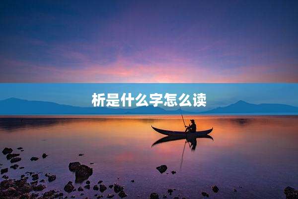 析是什么字怎么读