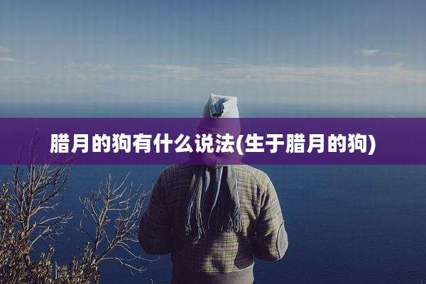 腊月的狗有什么说法(生于腊月的狗)