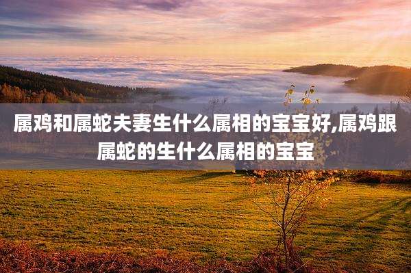 属鸡和属蛇夫妻生什么属相的宝宝好,属鸡跟属蛇的生什么属相的宝宝