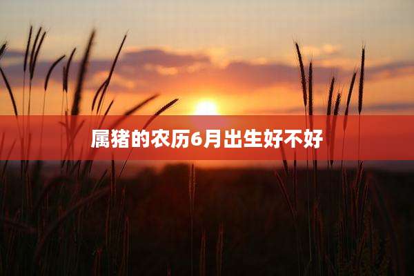 属猪的农历6月出生好不好