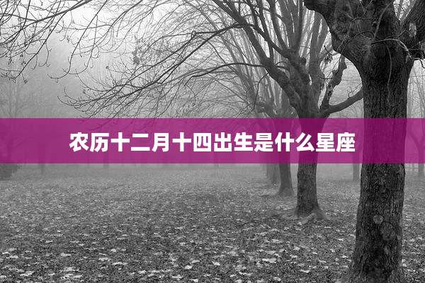 农历十二月十四出生是什么星座